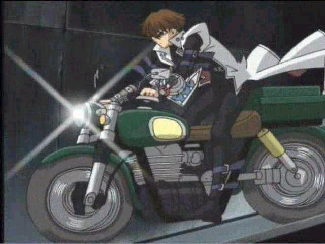 kaibamoto.jpg